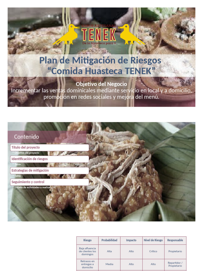 Plan de Mitigación de Riesgos TENEK | PDF