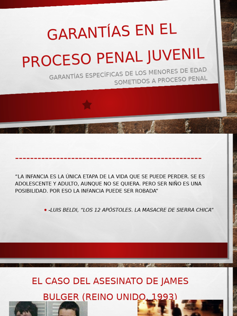 Garantías en El Proceso Penal Juvenil | PDF | Derecho penal | Juez