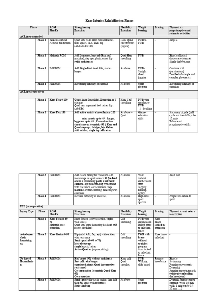 Knee Injury Recovery Stages Guide | PDF | Anatomical Terms Of Motion | Knee