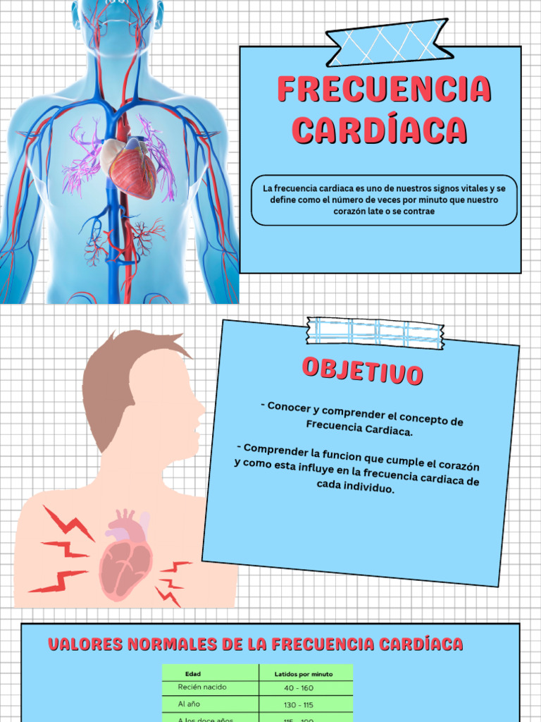 Frecuencia Cardíaca Pdf Corazón Ventrículo Corazón 