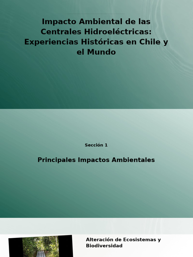 A) Impacto Ambiental de Las Centrales Hidroeléctricas - Experien | PDF ...