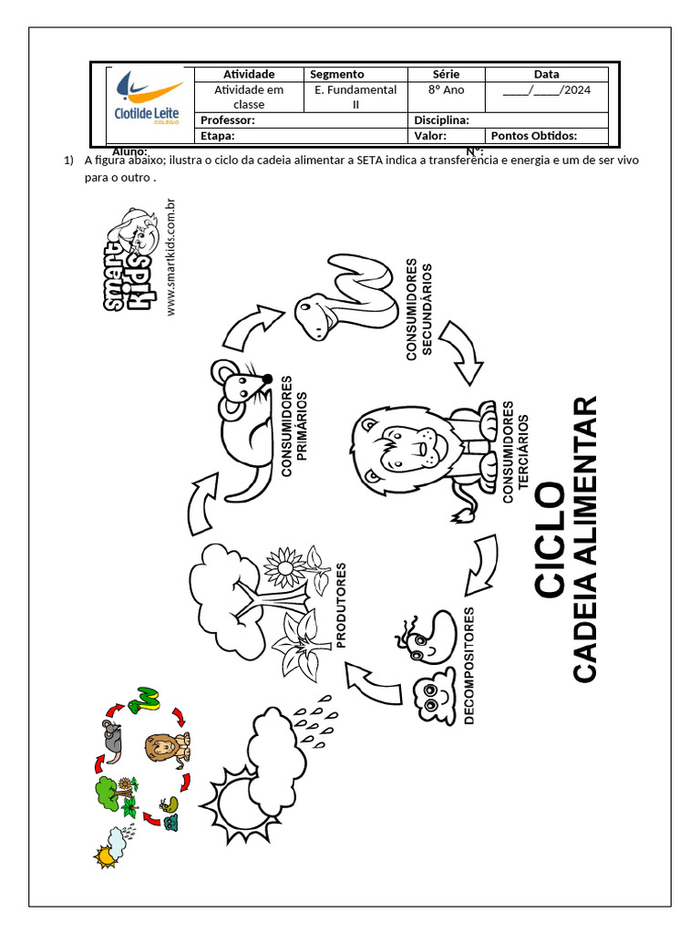 Atividade sobre Cadeia Alimentar 8º Ano | PDF