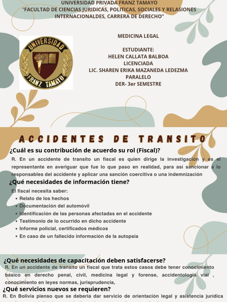 Acidentes De Transito Pdf