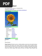 Download Bunga matahari by Oye Ajja SN87092288 doc pdf