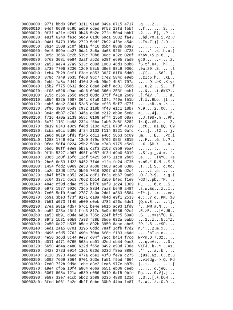 Hexadecimal Data Analysis Report | PDF