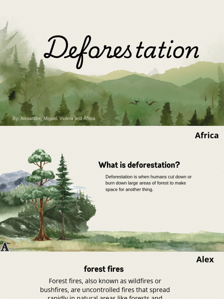Deforestation PDF | PDF
