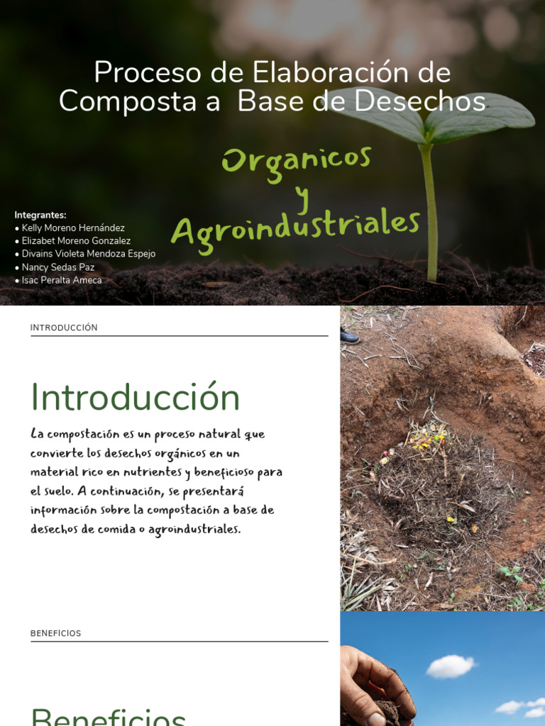 Proceso de Elaboración de Composta Base de Desechos Orgánicos y ...