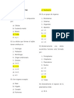 Banco de Preguntas Anatomia