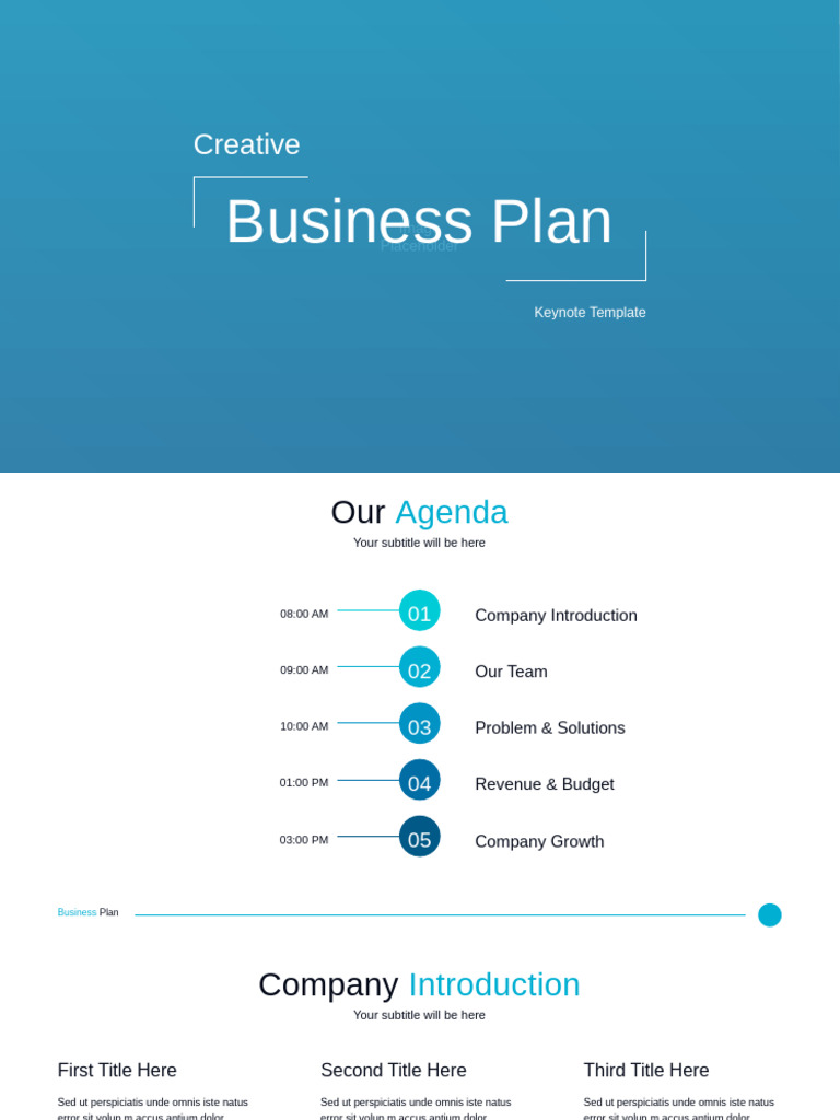 Comprehensive Business Plan Template | PDF | Swot Analysis | Business