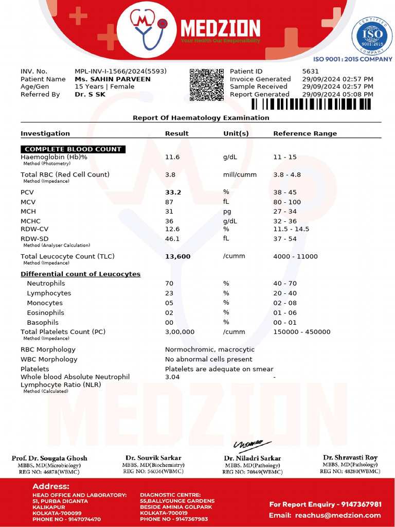 CBC Report for Anemia Diagnosis | PDF | Anemia | White Blood Cell