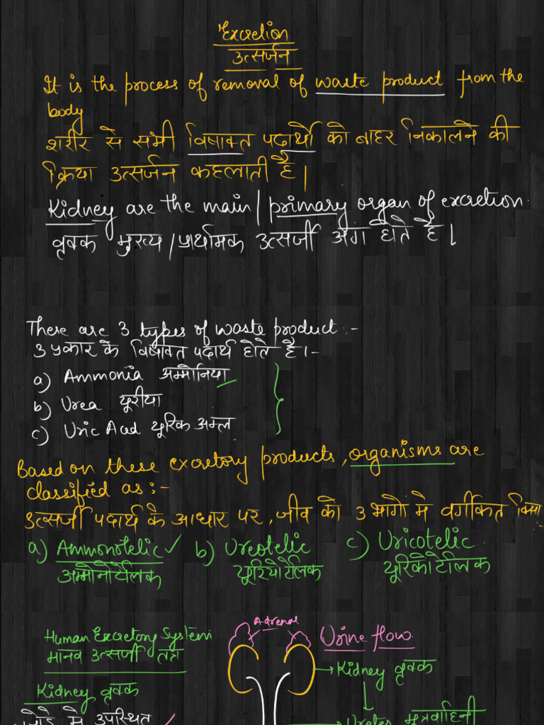 25 | PDF | Kidney | Organ (Anatomy)