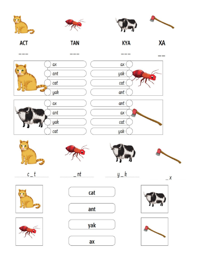 PHONIC 2 - A+ | PDF