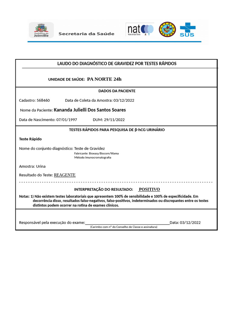 Teste de Gravidez | PDF