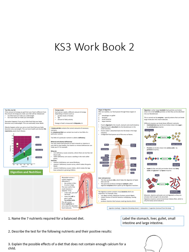 KS3 Work Book 2 | PDF | Digestion | Chemical Elements