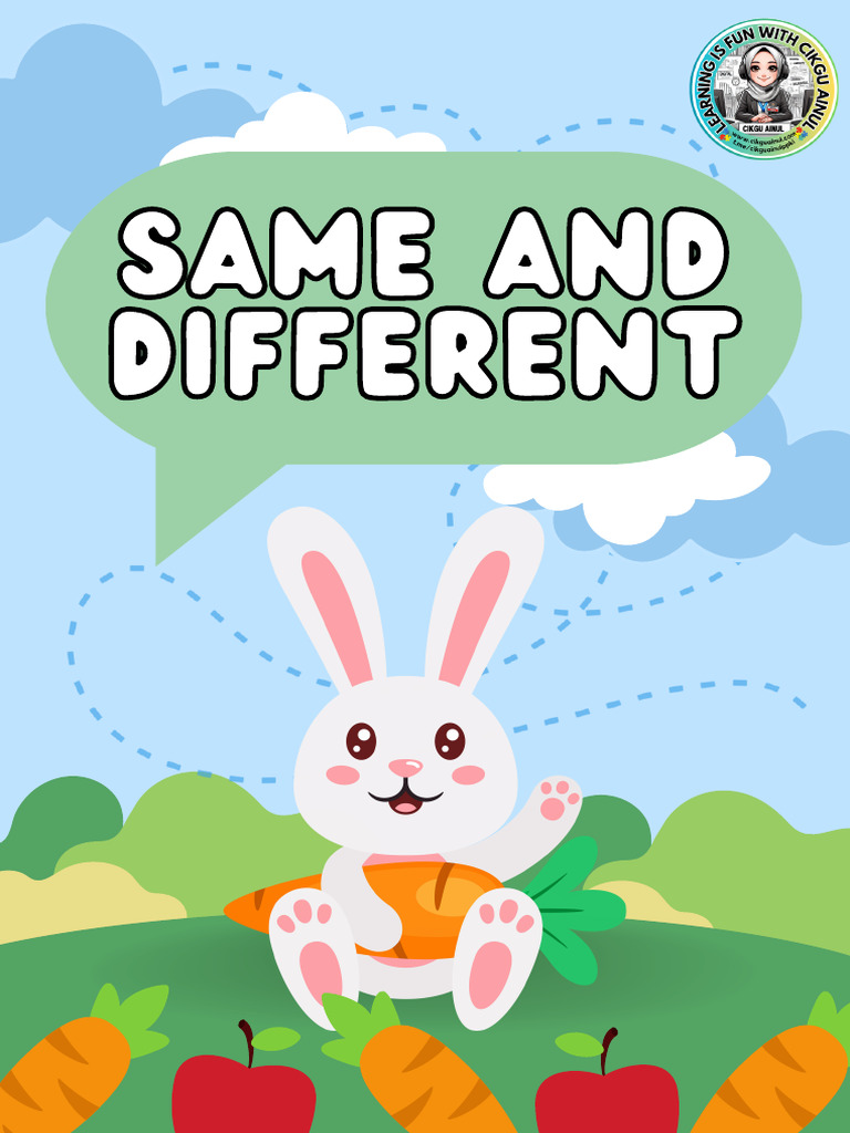 Identifying Similar and Different Objects | PDF