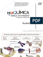 05 Nucleotídeos e Ácidos Nucléicos PDF