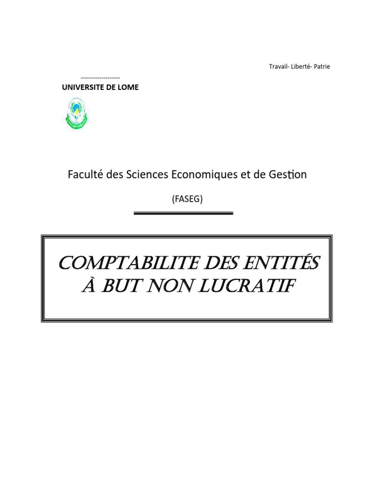Comptabilité des Entités Non Lucratives | PDF | Comptabilité analytique ...