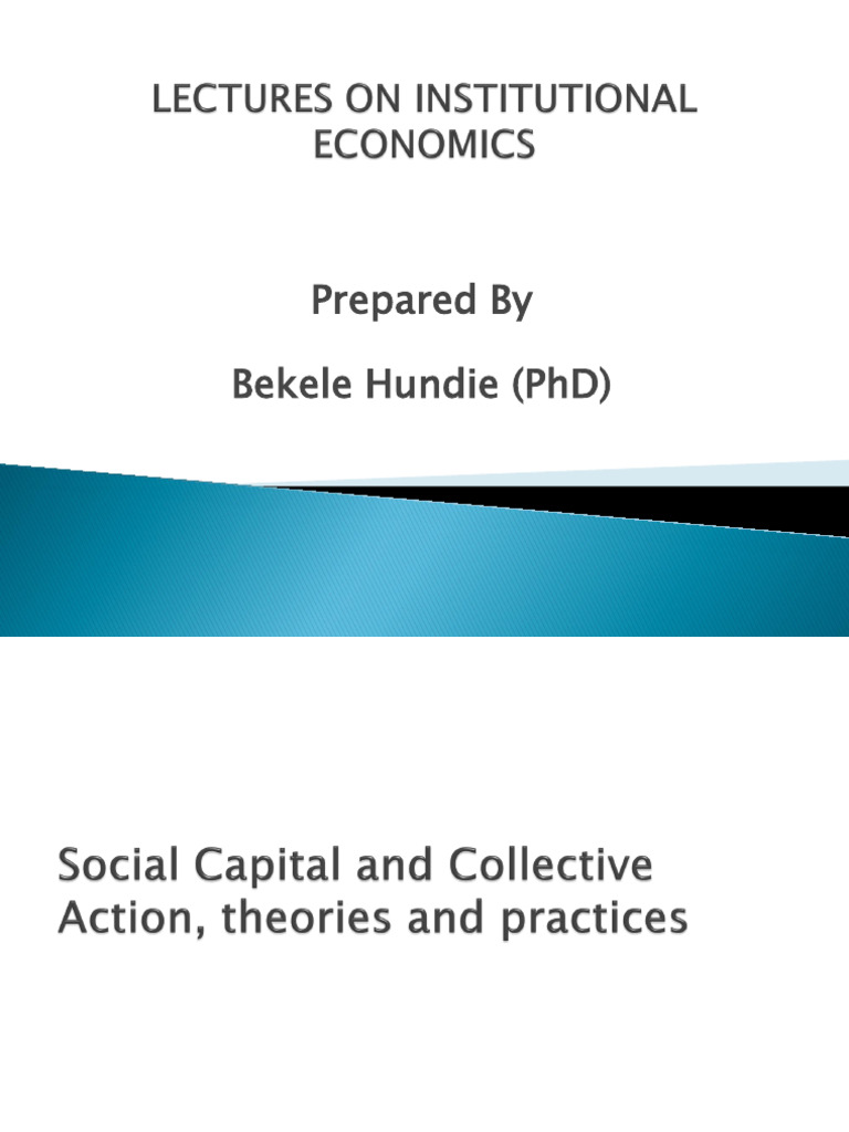 Understanding Social Capital Dynamics | PDF | Collective Action ...