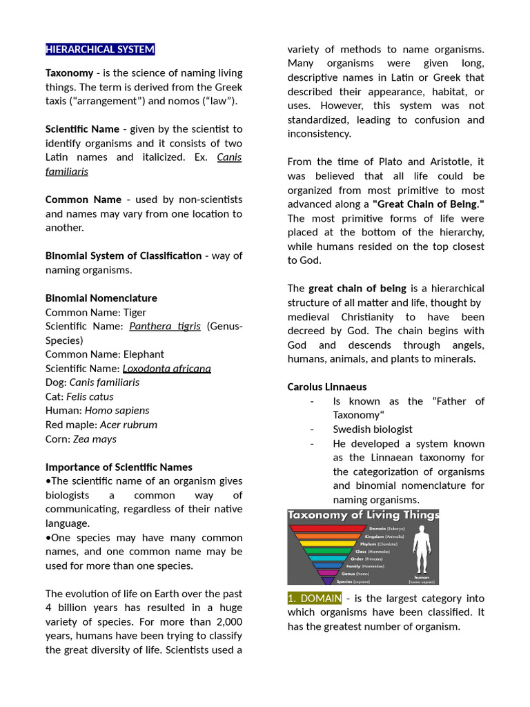 Natural Selection and Taxonomy Explained | PDF | Homo | Human Evolution