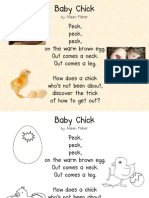 Baby Chick