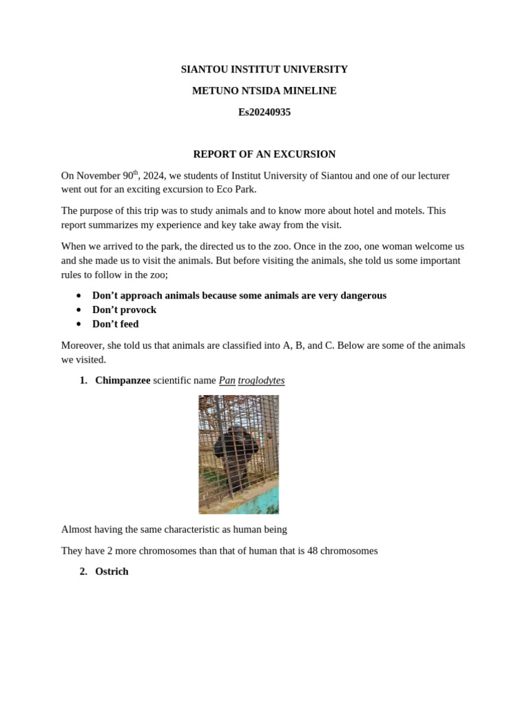 Excursion Report: Eco Park Animals | PDF | Chimpanzee | Zoology