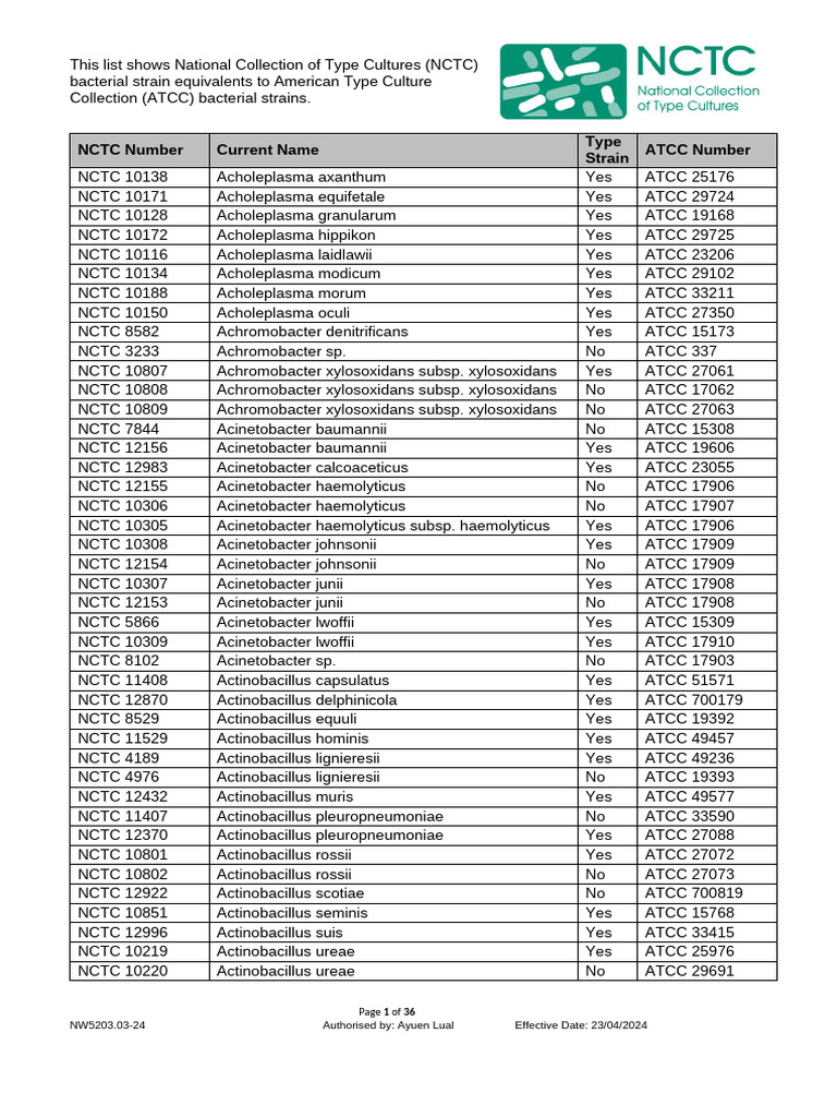 NCTC to ATCC Bacterial Strain Equivalents | PDF | Bacillus | Bacteria