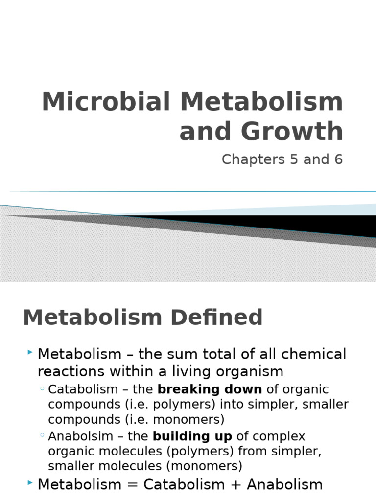 Microbial Metabolism and Growth Overview | PDF | Enzyme | Fermentation