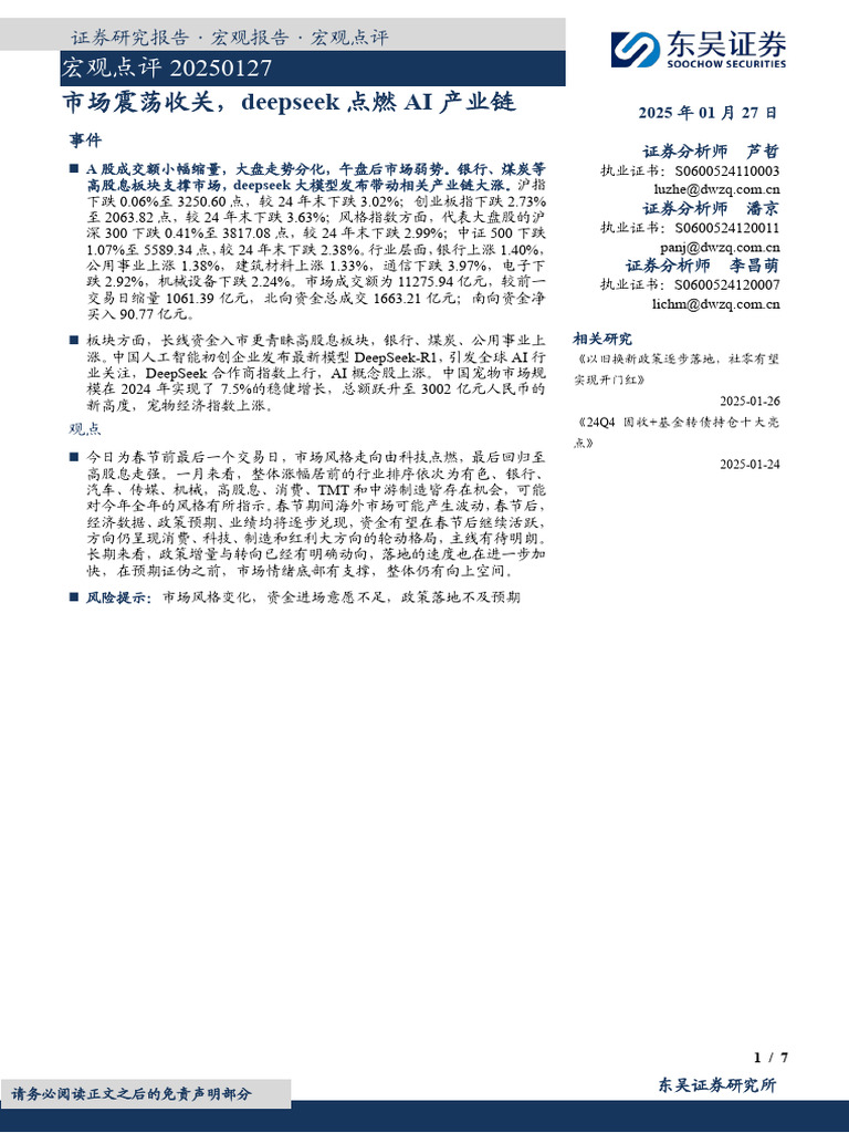 Deepseek AI | PDF