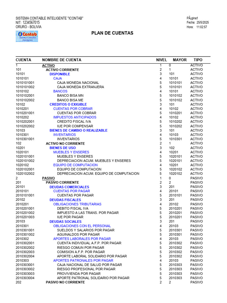 Plan de Cuentas Contables Bolivia | PDF | Depreciación | Dinero
