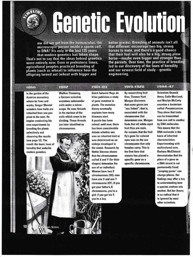 Breakthroughs in Genetics History | PDF | Heredity | Genetics