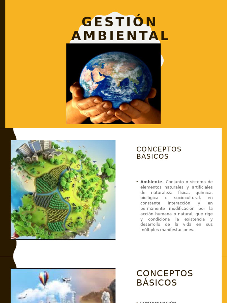 Conceptos Generales Gestión Ambiental | PDF | Entorno natural | Business