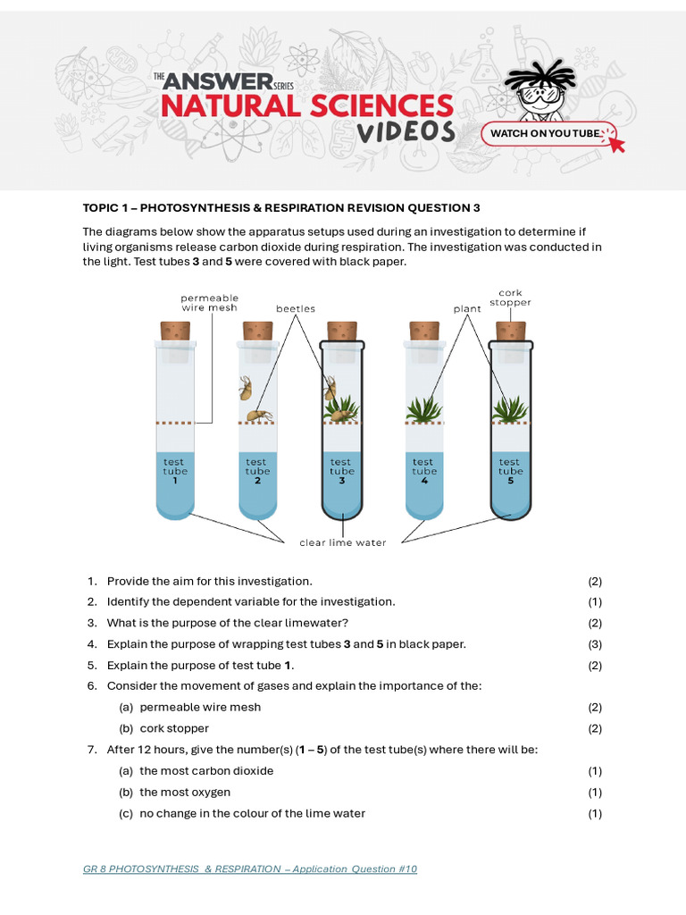 Carbon Dioxide in Respiration Study | PDF | Photosynthesis | Carbon Dioxide