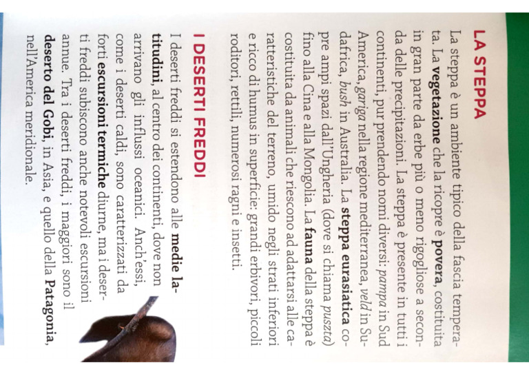 La Steppa | PDF