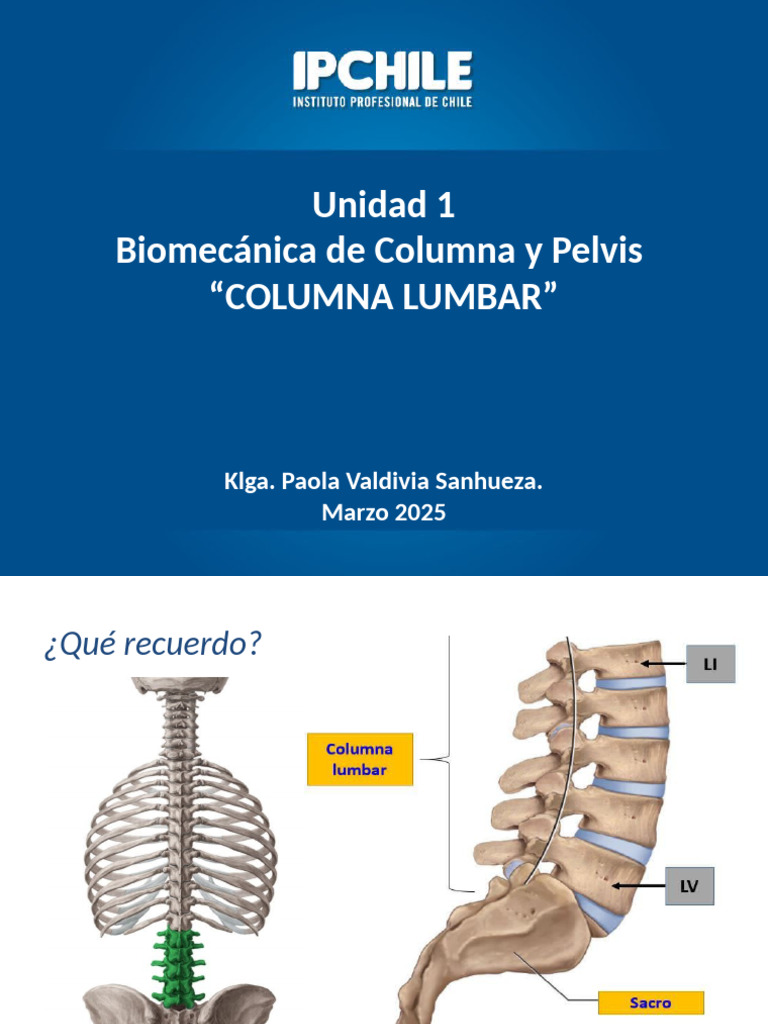 Biomecanica II - Columna y Pelvis 3 | PDF | La columna vertebral | Vértebra