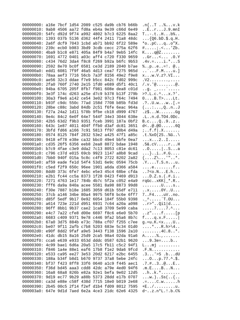Hexadecimal Data Analysis Output | PDF