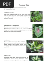 Download Tanaman Hias by Kiki Fre SN87146196 doc pdf