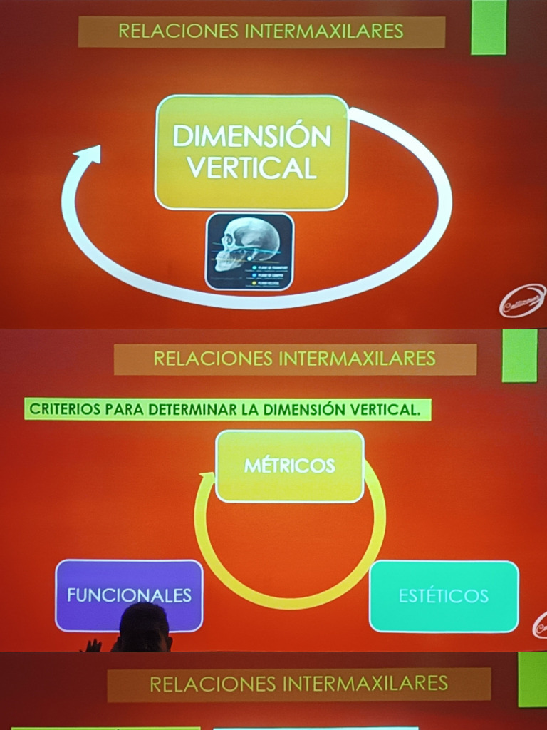 RELACIONES INTERMAXILARES prt2 | PDF