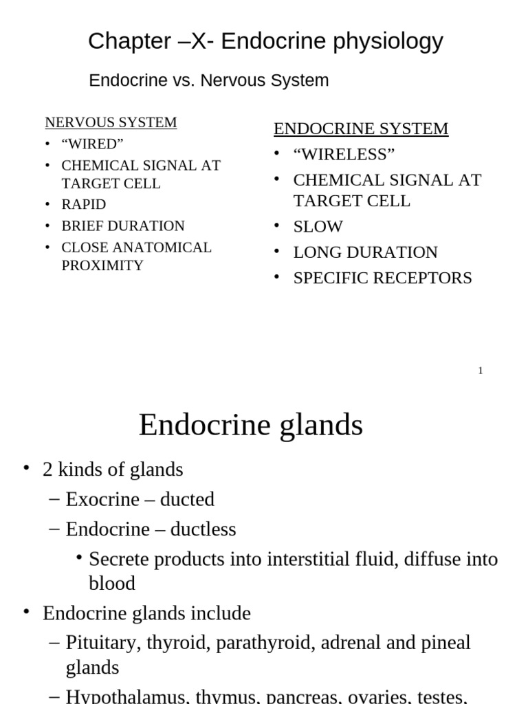 Endocrine Physiology Overview | PDF | Endocrine System | Hormone
