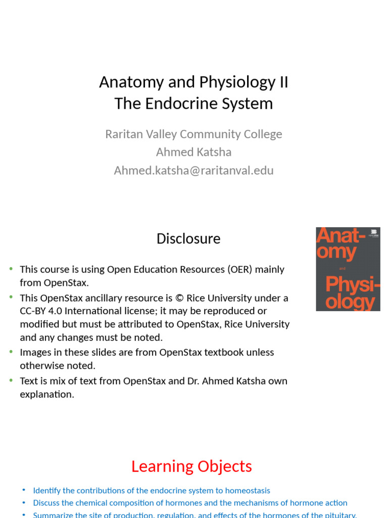 Endocrine System Overview and Functions | PDF | Adrenal Gland ...