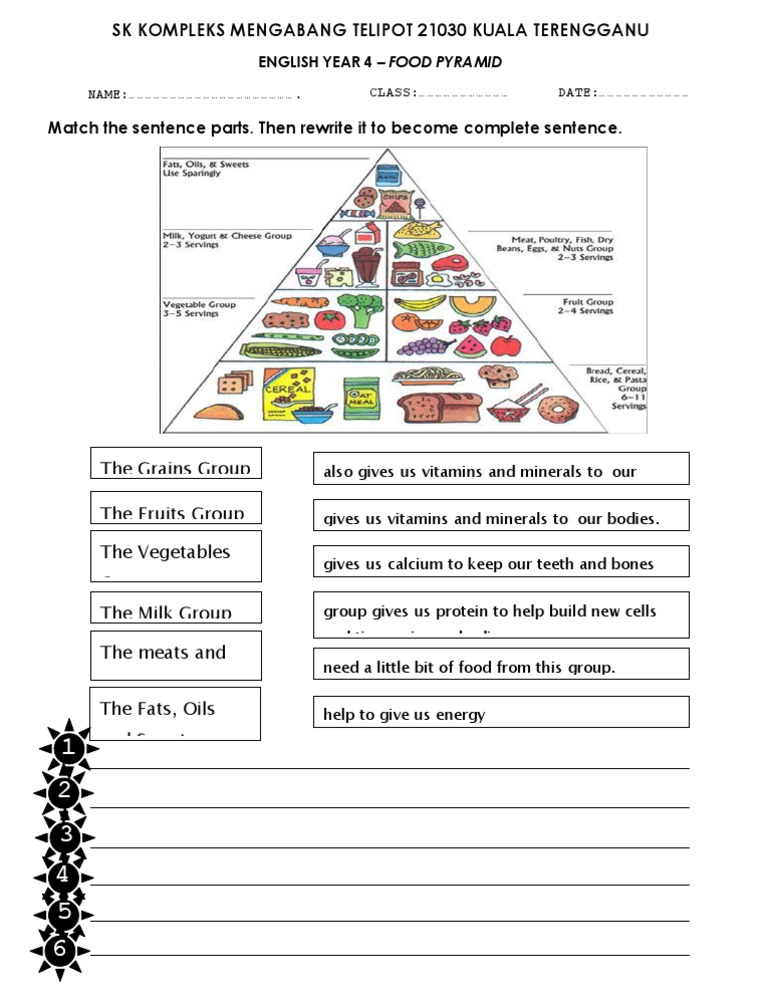 Worksheet Food Pyramid PDF