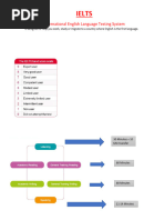SEB Demo Exam Student Guide | PDF