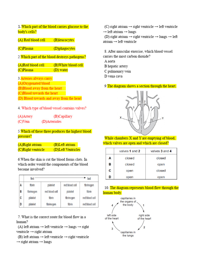 Questions On Cirrculatory System | PDF | Circulatory System | Atrium ...
