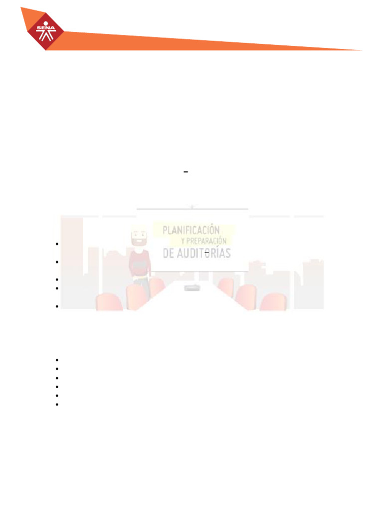 Programa Anual de Auditorías 2025 | PDF | Auditoría | Planificación