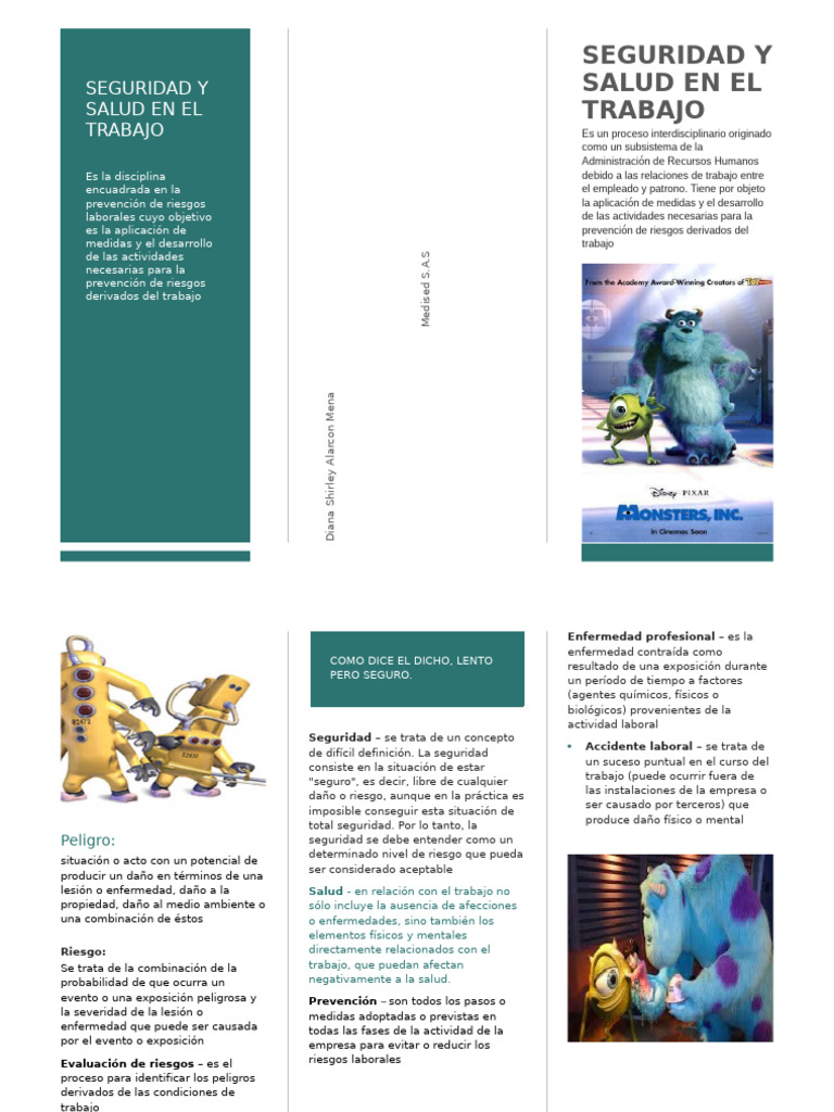 Seguridad y Salud Laboral: Prevención de Riesgos | PDF | Riesgo | Valores