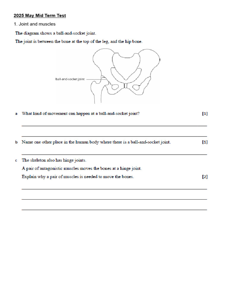 2025 May Mid Term Test Questions Pdf