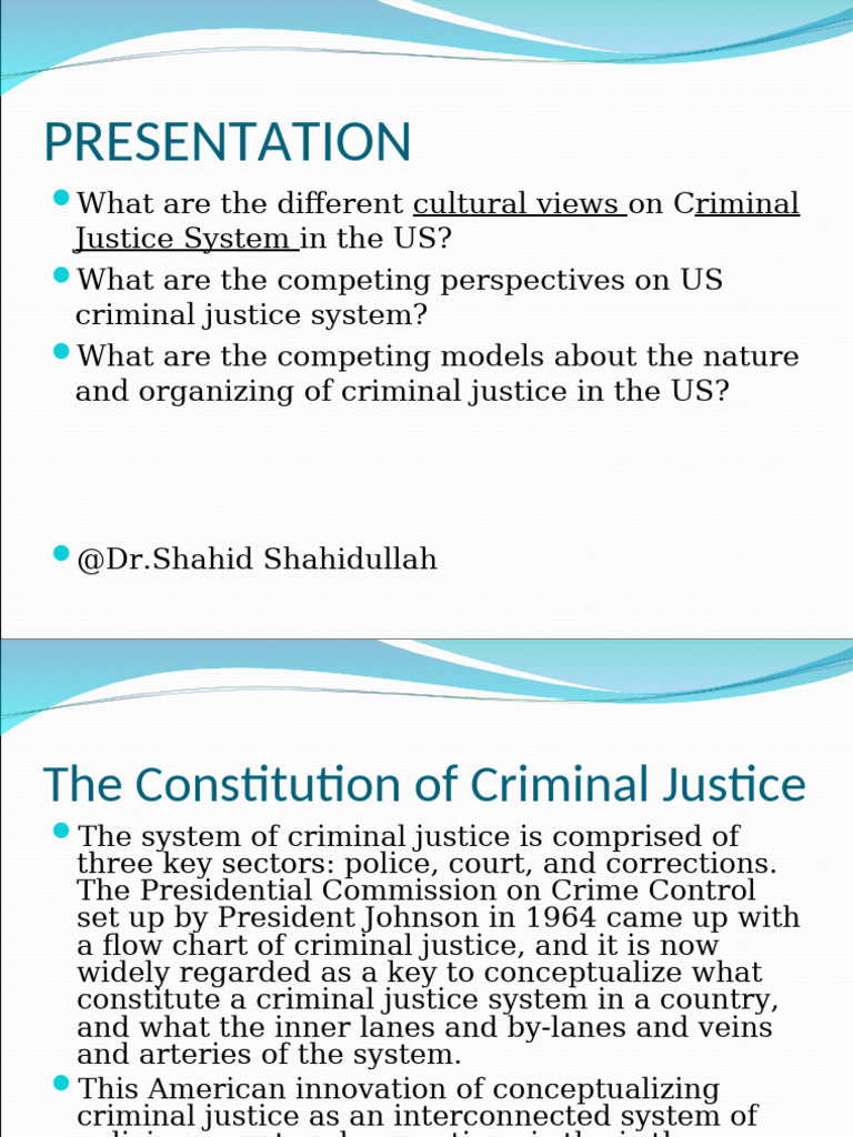 US Criminal Justice System Perspectives | PDF | Crimes | Crime & Violence