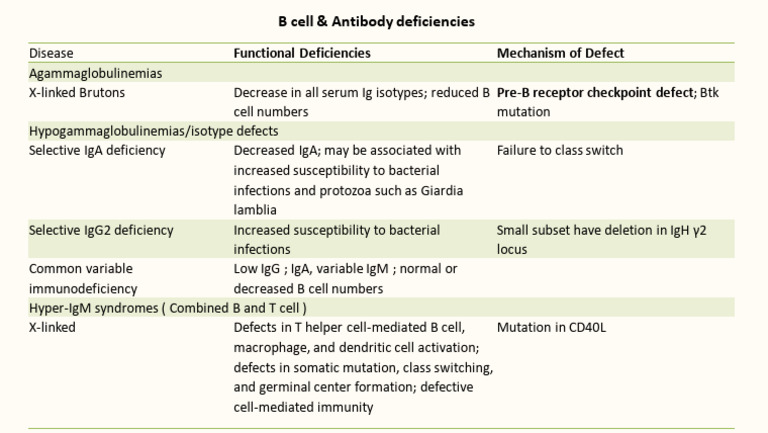 B Cell and Antibody Deficiencies | PDF