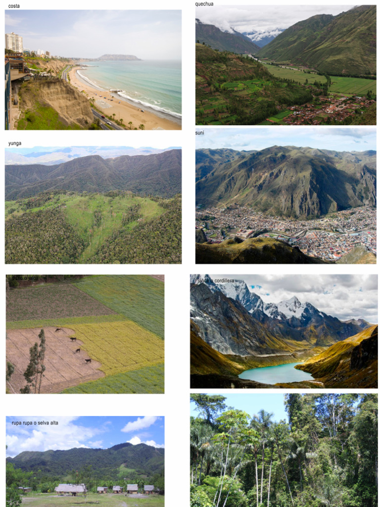 Las Ocho Regiones Naturales Del Peru | PDF