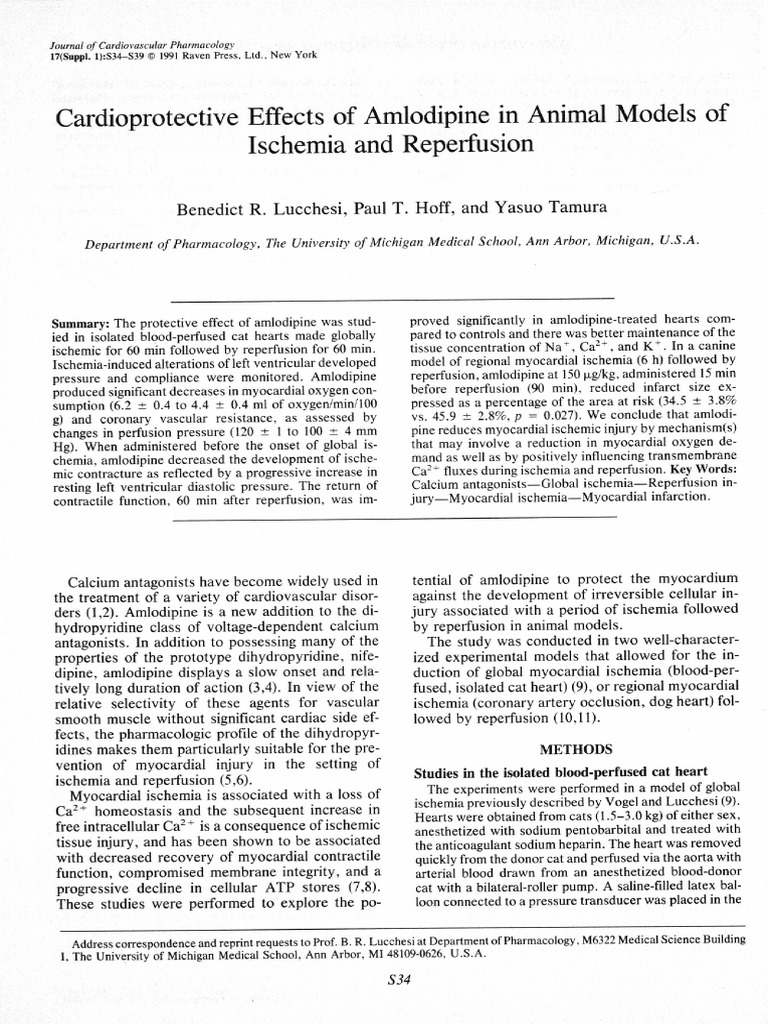 Cardioprotective Effects of Amlodipine in Animal.12 | PDF