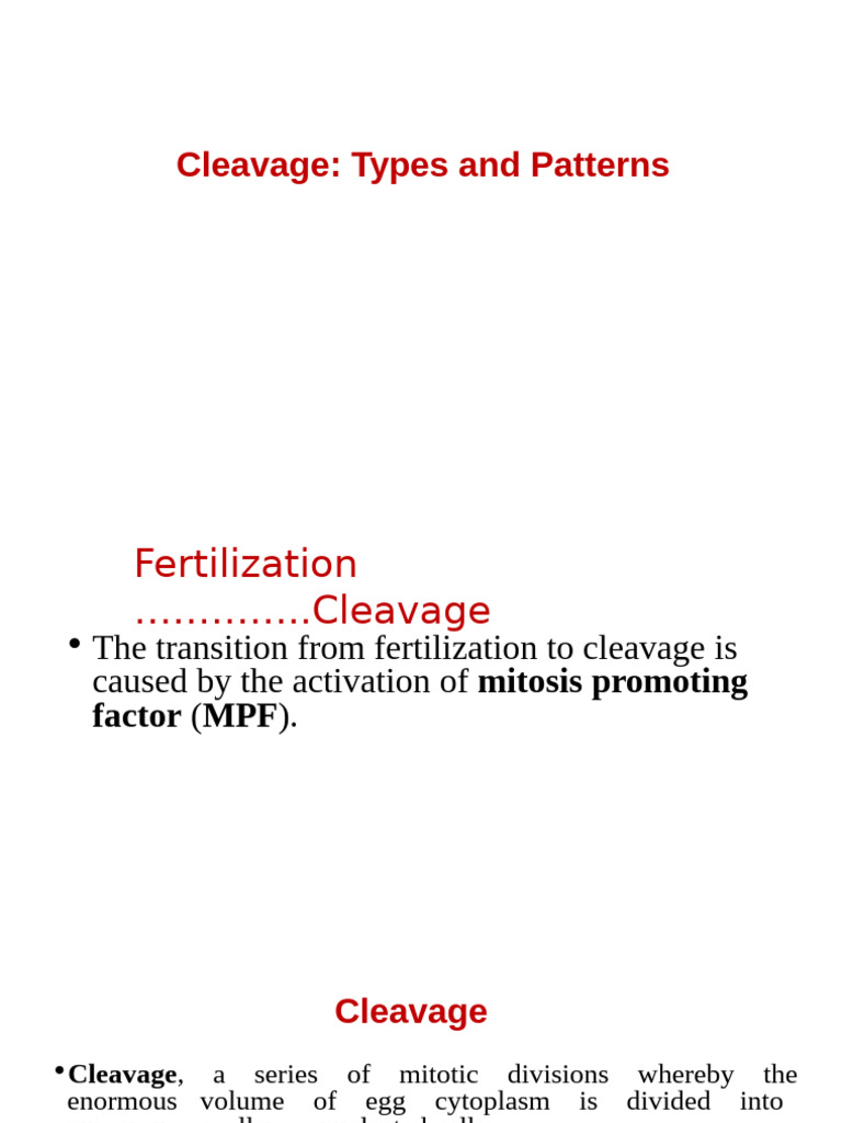 Types and Patterns of Cleavage | PDF